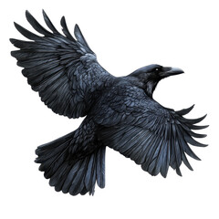 Obraz premium Mythical raven bird isolated on transparent background.
