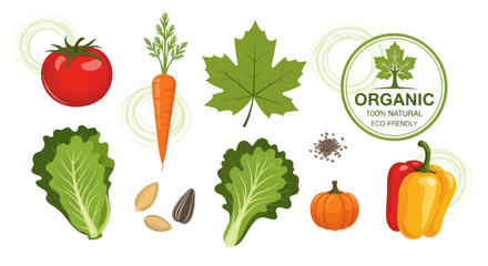 Fresh Organic Vegetables and Fruits: Tomato Carrot Leaf Lettuce Pumpkin Peppers Seeds.