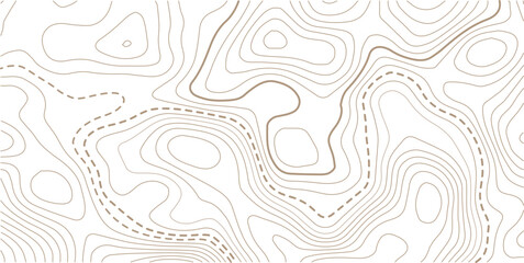 Topography grid contour map on white background, Topographic contour lines map seamless pattern.Modern design with Golden White background with topographic wavy pattern design