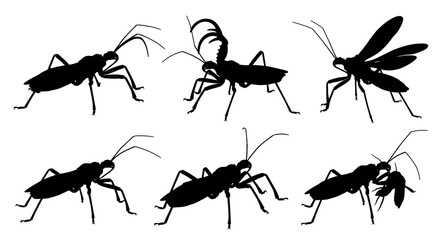 Silhouette of various cricket isolated on white background showing different angles