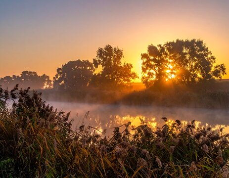 Golden sunrise paints the sky as mist rises off a calm river - Powered by Adobe