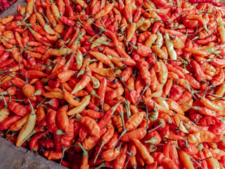A vibrant pile of dried red chili peppers. Fresh red chilies in bulk for cooking. Red hot chilies displayed in bulk for spice. Red chili peppers ready to be packaged