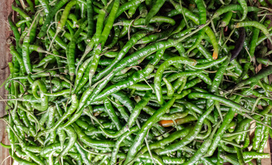 Vibrant green chilies stacked together for use in cooking. Fresh and glossy green chilies awaiting harvest. Hot and spicy green chilies arranged for culinary delights