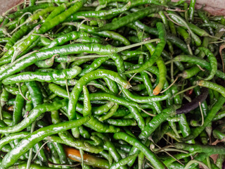 Vibrant green chilies stacked in a rustic display. Fresh and spicy green chilies waiting to be picked. harvest of hot green chilies ready for cooking. chili peppers with a glossy, vibrant green shine