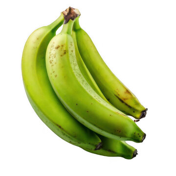 raw green plantain fruit, close-up studio shot still life of single unripe plantain isolated on white and transparent background