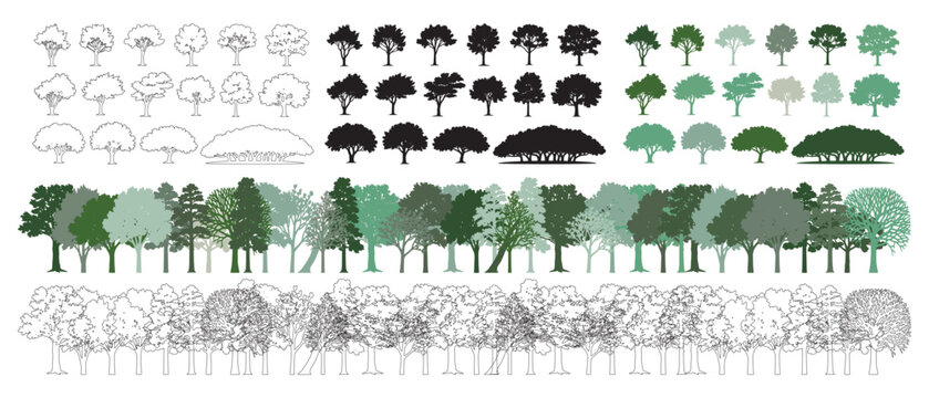 Architectural drawings, minimal style CAD tree line illustration, side view set of section and wetland forest outlines for landscape design, vector illustration in separate elements