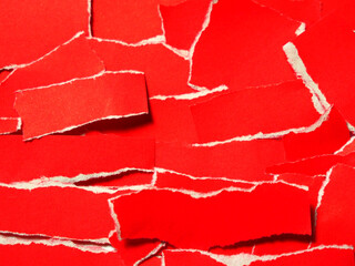 Many small pieces of red paper.