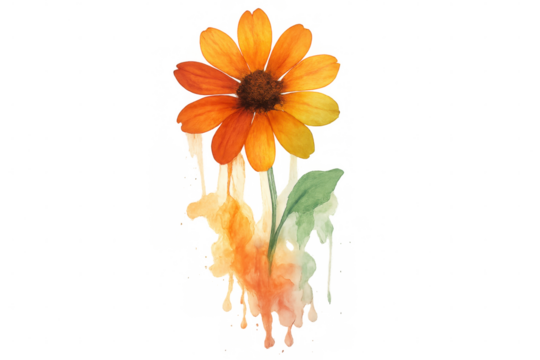 Watercolor flower with orange petals melting and dripping paint, creating a surreal and abstract design. Transparent background
