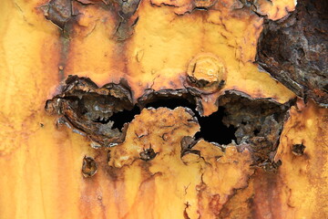 Old, rusty, and dirty yellow steel plate background.