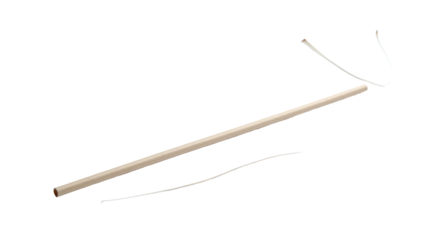 Bare wooden stick, fragments, on black background, angled