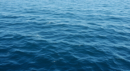 Serene expanse of the ocean with gentle ripples and a calming blue hue