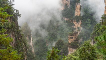 Misty mountain landscape. The sheer cliffs pillars are shrouded in fog and clouds. Green vegetation on steep slopes. China. Zhangjiajie National Forest Park. Avatar