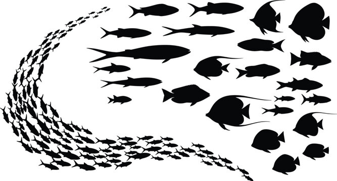 School of fish silhouettes, marine life illustration, underwater ocean design, aquatic animals swimming together, sea biodiversity artwork, cad drawing flat vector illustration