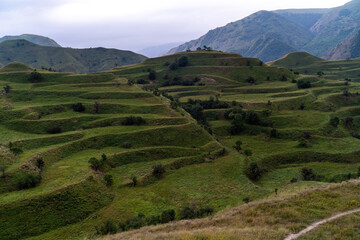 Fototapeta premium Chokhsky terraces Dagestan. Landscape of mountainous Dagestan with terraced fields and peaks mountains in the distance.