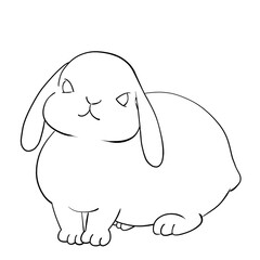 塗り絵　兎
