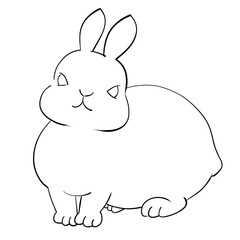 兎　ネザーランドドワーフ