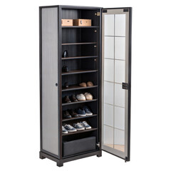 Tall Contemporary Shoe Storage Cabinet with a Mirrored Grid Door and Multiple Shelves