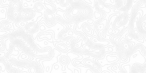 Obraz premium Minimal white line geometric grid outline curve counter map and wavy topography relief discovery area white, black line texture background. 
