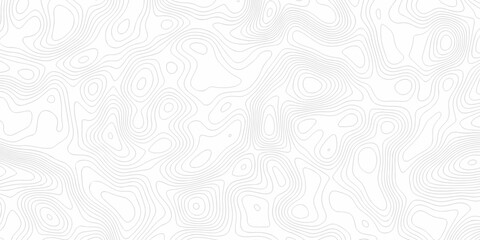 Minimal white line geometric grid outline curve counter map and wavy topography relief discovery area white, black line texture background.	
