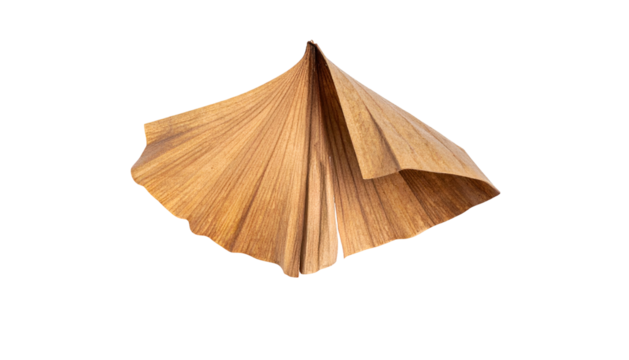 A close-up of a stylized, origami-like form made of textured, layered wood or leaf