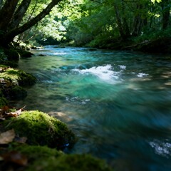 stream in the forest