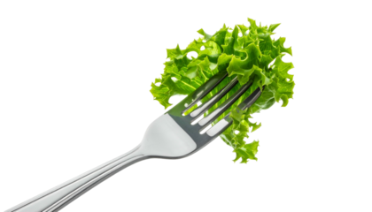Green lettuce clump impaled on a stainless steel fork