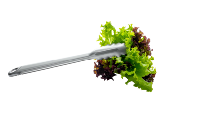 Tongs holding vibrant green and red lettuce against black