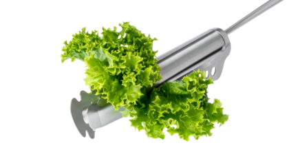 Green lettuce held by shiny, stainless steel salad tongs