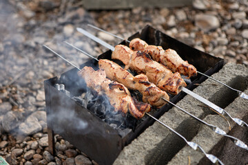 Juicy grilled shashlik cooking on charcoal outdoors.
Smoke rises over metal barbecue during summer picnic.
Close-up of skewered meat captures rustic outdoor flavor.
