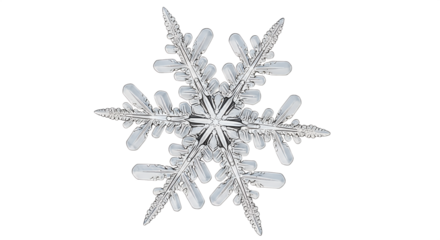 Intricate snowflake crystal design isolated on white background  