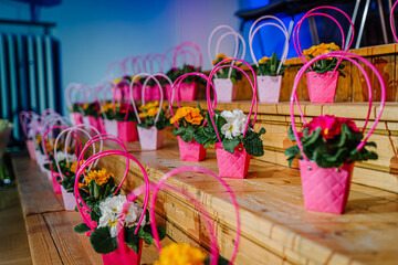 Rows of colorful potted flowers in pink and light pink baskets arranged on wooden steps, likely prepared as decorative gifts for an event or celebration.