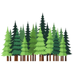 Forest of Evergreen Trees Illustration in Green Shades with Tall Pine Trees
