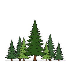 Fototapeta premium Forest of Evergreen Trees A Simple Illustration of Nature's Beauty and Tranquility