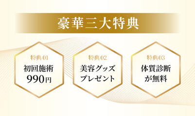 白と金を基調にした上品で高級感のある豪華三大特典デザインテンプレート｜美容サロンやエステのキャンペーンLP・広告バナーに使える体験施術・プレゼント・診断特典の紹介用ベクター素材