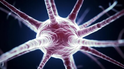 Closeup 3D animation of a neuron cell with dendrites and axon representing the complex network of the human brain and nervous system vital for thought memory and bodily functions. - Powered by Adobe