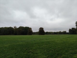 Moody park landscape.  A serene park landscape with an open field and distant trees under a cloudy sky, captured on a calm overcast day.