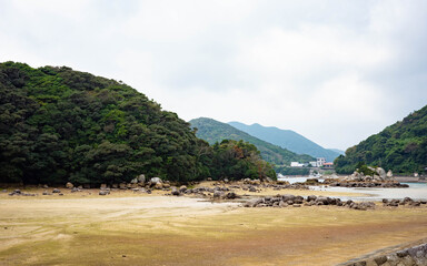 Sandy Beach and Forested Hills in Distance