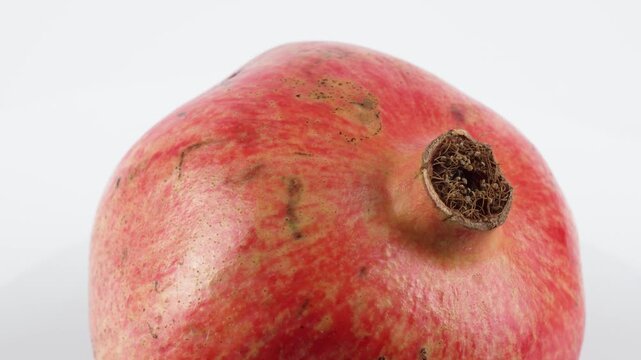 Pomegranate Macro Close-Up. Extreme close-up of a rotating pomegranate shows its detailed texture and rich red surface. The natural imperfections emphasize authenticity.