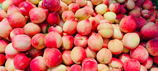 A pile of fresh ripe peach fruits.	
