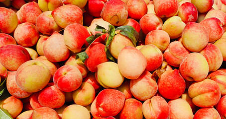 A pile of fresh ripe peach fruits.	
