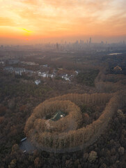aerial photography of the park in autumn