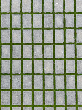 A geometric, top-down view of rectangular gray concrete pavers laid in a grid pattern, with vibrant green grass and moss growing in the joints.