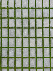 A geometric, top-down view of rectangular gray concrete pavers laid in a grid pattern, with vibrant green grass and moss growing in the joints.