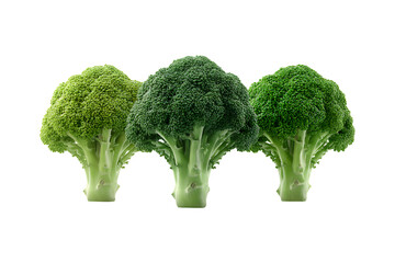 Three fresh broccoli florets showcasing vibrant green color and healthy texture isolated on a dark studio backdrop isolated on transparent background