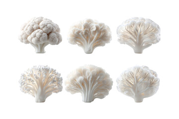 Six cauliflower florets displayed in a grid with different color accents on a simple black backdrop isolated on transparent background