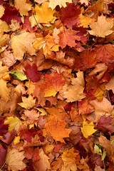High-resolution, seamless texture background featuring a dense, abstract pattern of red, orange, and yellow autumn leaves. Perfect for seasonal templates, design, and poster backgrounds.