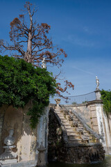Ornate tiered fountain with cascading water. Behind it, a Giant sequoia, Sequoiadendron giganteum. Photo taken in in Quinta del Duque del Arco, Monte del Pardo, Madrid, Spain