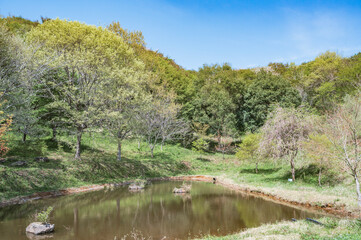 茨城　助川山市民の森の石の池（日立市）