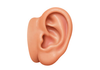 Isolated human ear in realistic style for hearing sound and listening to music icon