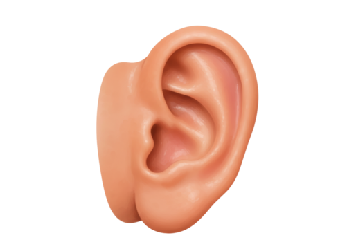 Isolated human ear in realistic style for hearing sound and listening to music icon